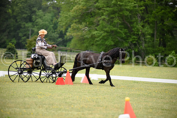 CarriageClassic2018-927