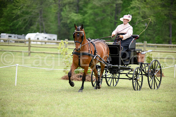 CarriageClassic2018-539