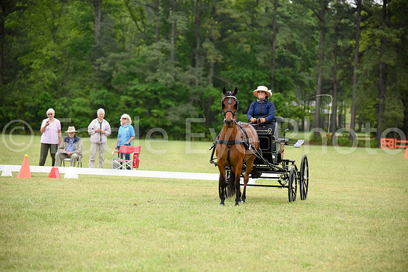 CarriageClassic2018-1025
