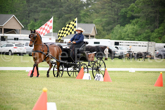 CarriageClassic2018-1026