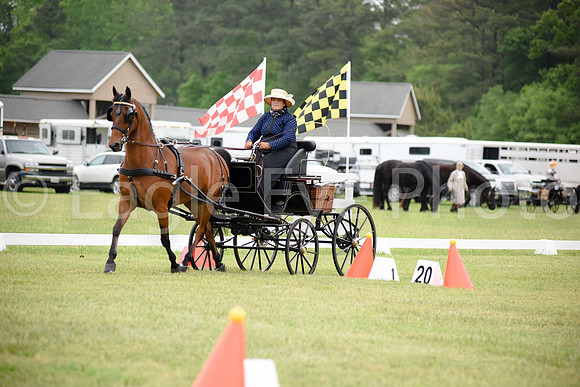 CarriageClassic2018-1027