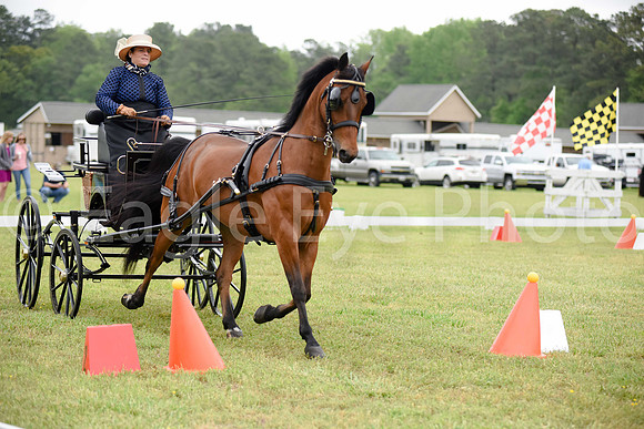 CarriageClassic2018-1028