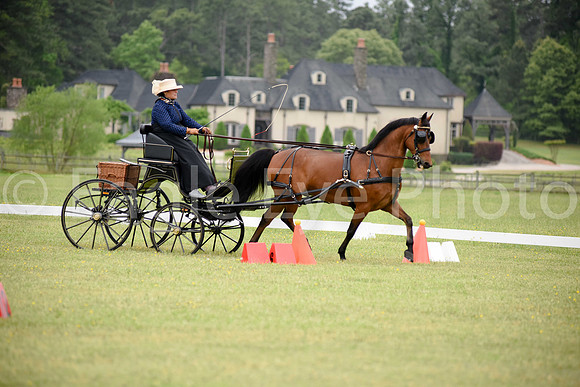CarriageClassic2018-1029
