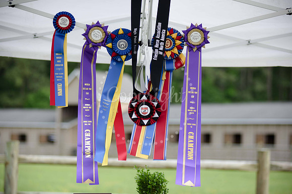 2019-CarriageClassic-1009
