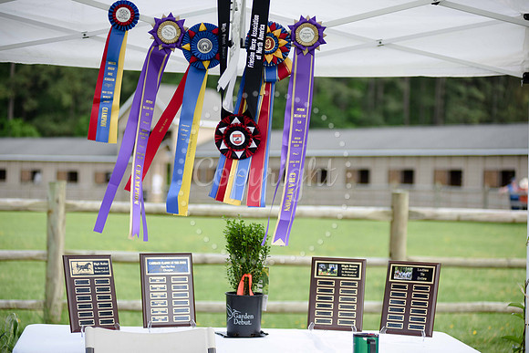 2019-CarriageClassic-1010