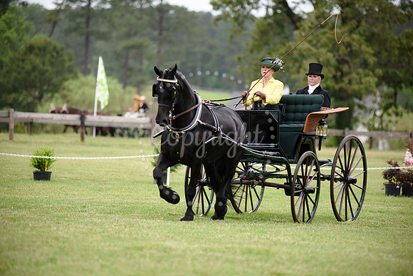 2019-CarriageClassic-238