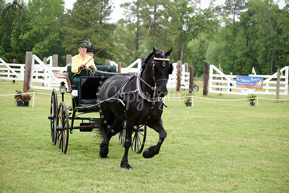 2019-CarriageClassic-230