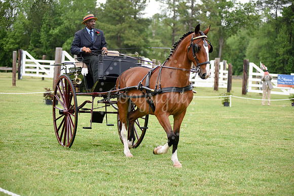 2019-CarriageClassic-132