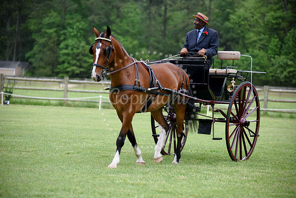 2019-CarriageClassic-142