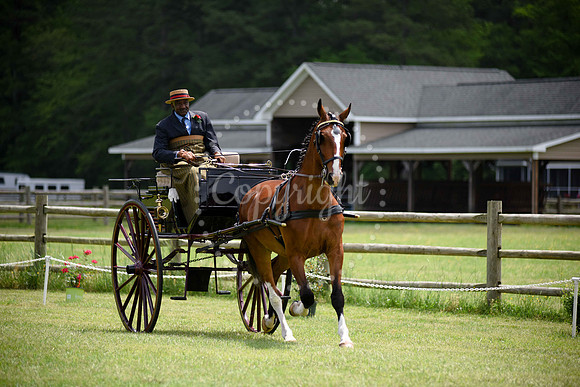2019-CarriageClassic-436