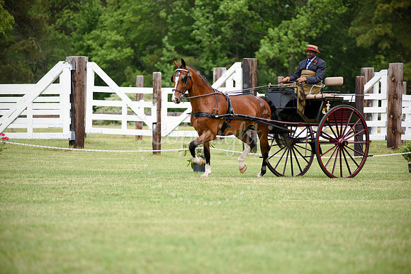 2019-CarriageClassic-439