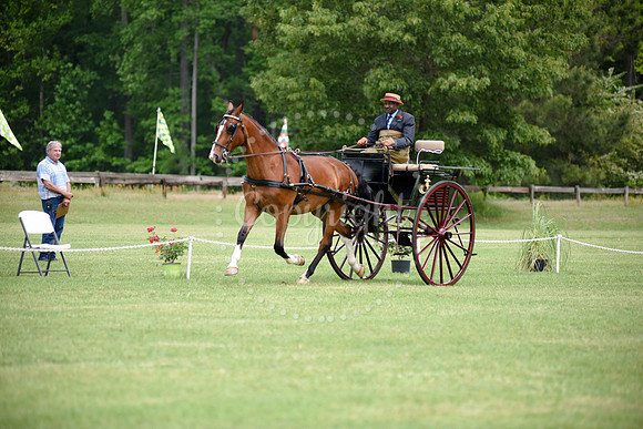 2019-CarriageClassic-446