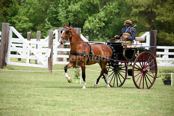 2019-CarriageClassic-449