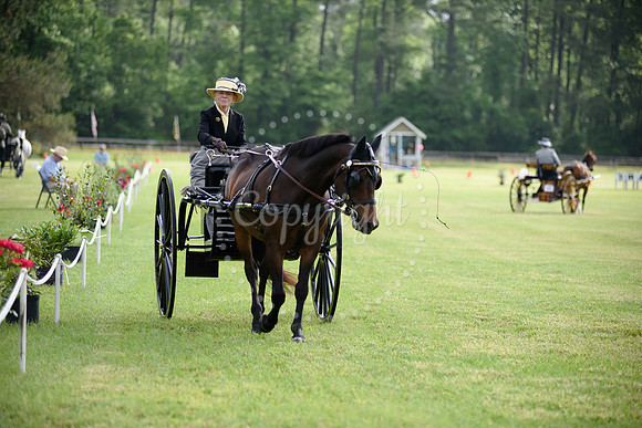 2019-CarriageClassic-52