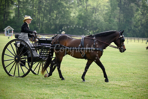 2019-CarriageClassic-53