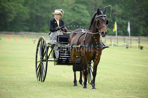 2019-CarriageClassic-69
