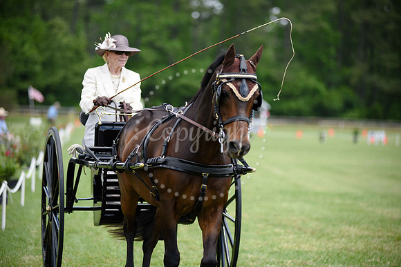 2019-CarriageClassic-528