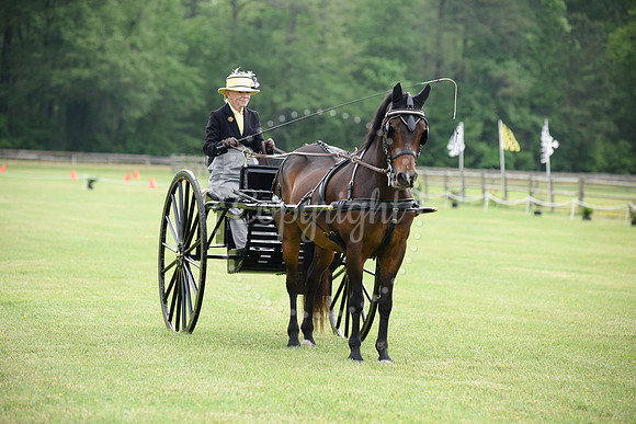 2019-CarriageClassic-70