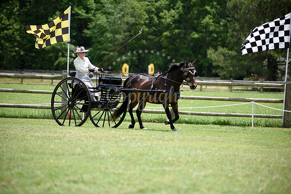 2019-CarriageClassic-540