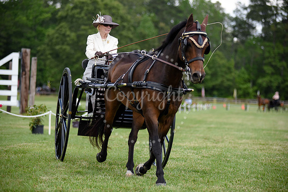 2019-CarriageClassic-589