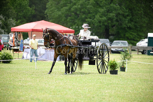 2019-CarriageClassic-631