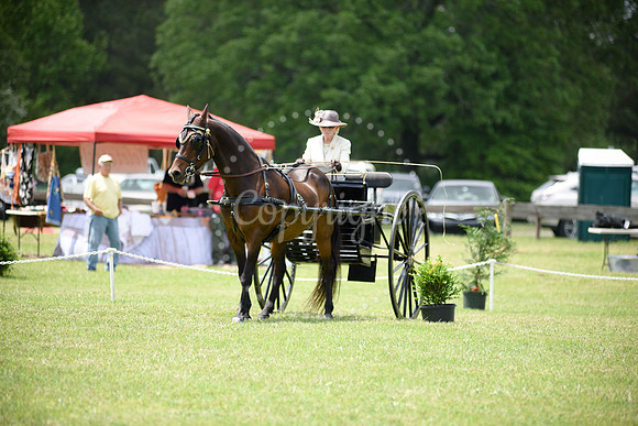 2019-CarriageClassic-632