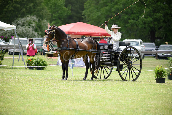 2019-CarriageClassic-634