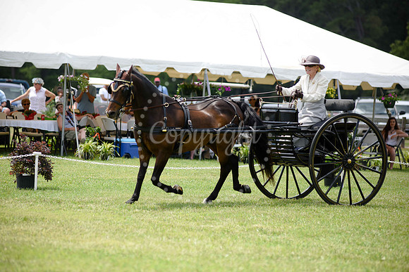 2019-CarriageClassic-635