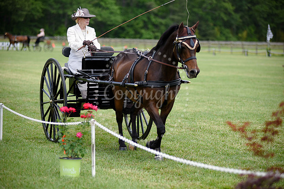 2019-CarriageClassic-692
