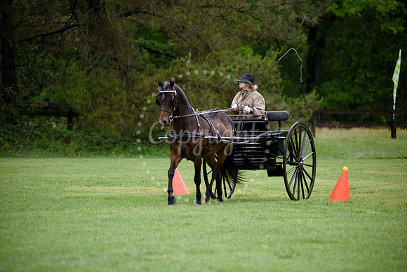 2019-CarriageClassic-1174