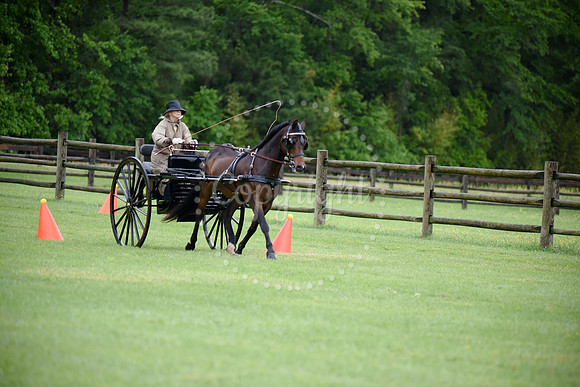 2019-CarriageClassic-1177