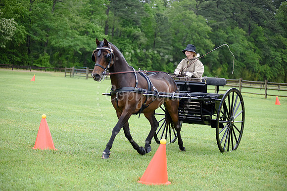 2019-CarriageClassic-1179