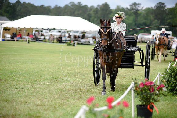 2019-CarriageClassic-1263