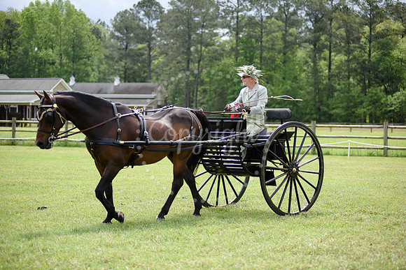 2019-CarriageClassic-1276